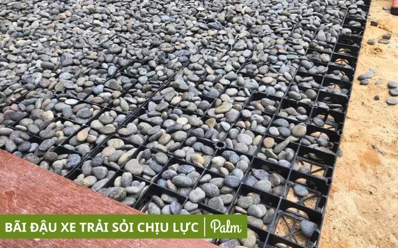 Vỉ Trồng Cỏ Chịu Lực | Tất Tần Tật Về Lợi Ích, Ứng Dụng Và Cách Lắp Đặt